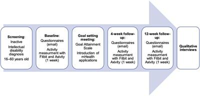 Using mobile health to encourage physical activity in individuals with intellectual disability: a pilot mixed methods feasibility study